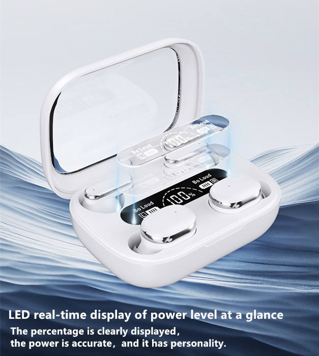 2 in 1 Dual Pair QuadBeat Earbuds