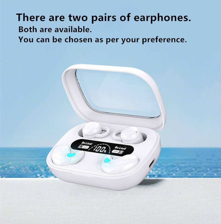 2 in 1 Dual Pair QuadBeat Earbuds
